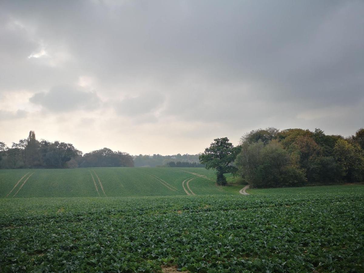 Ferienwohnung Koko Solingen Buitenkant foto