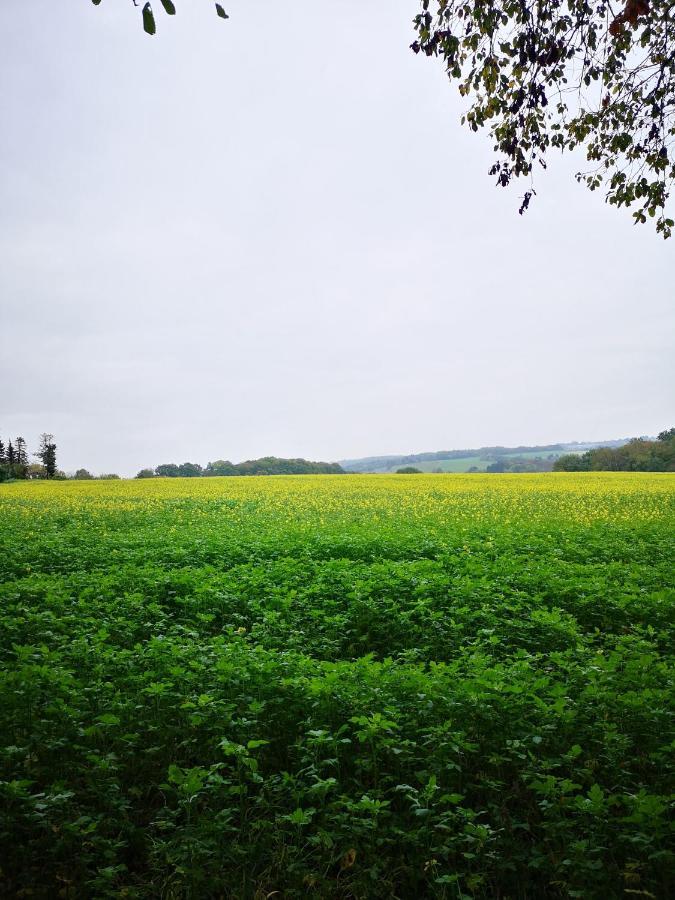 Ferienwohnung Koko Solingen Buitenkant foto